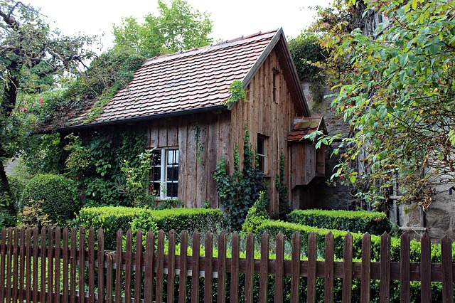 dom z drewna